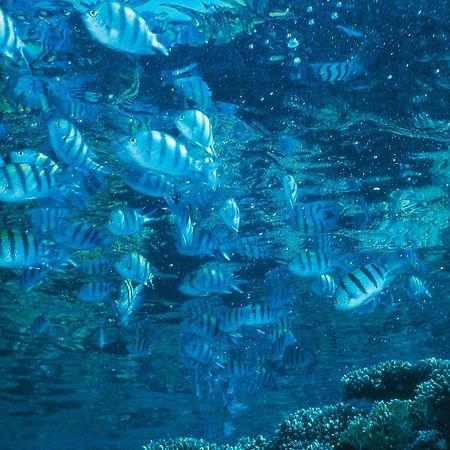 Yam Suf By Isrotel Collection Eilat Eksteriør bilde