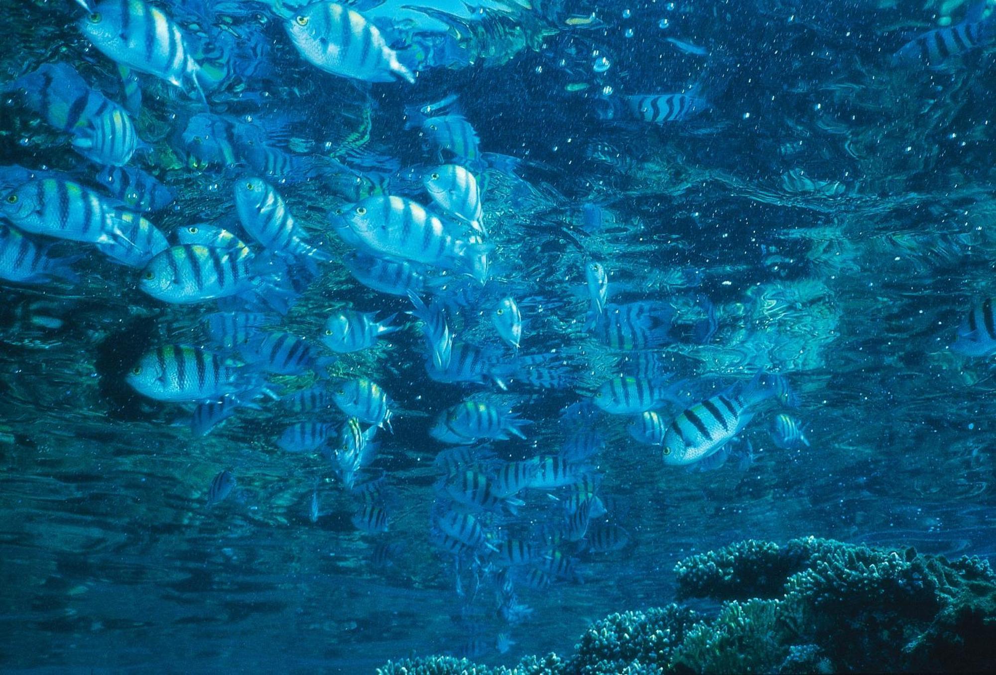 Yam Suf By Isrotel Collection Eilat Eksteriør bilde